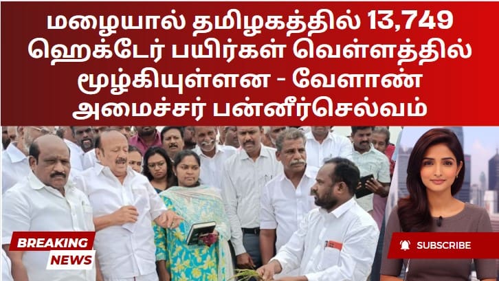 மழையால் தமிழகத்தில் 13,749 ஹெக்டேர் பயிர்கள் வெள்ளத்தில் மூழ்கியுள்ளன – வேளாண் அமைச்சர் பன்னீர்செல்வம்