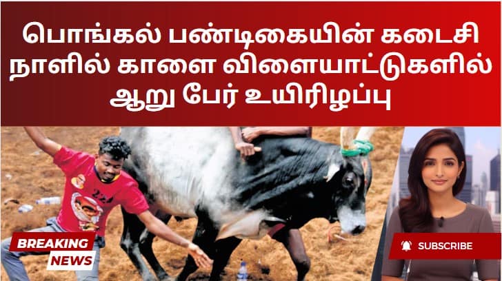 பொங்கல் பண்டிகையின் கடைசி நாளில் காளை விளையாட்டுகளில் ஆறு பேர் உயிரிழப்பு