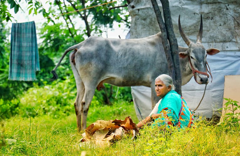 தமிழகத்தில் வறுமை அதிகரிக்கிறதா?