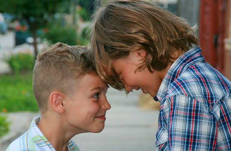 சகோதரத்துவம்