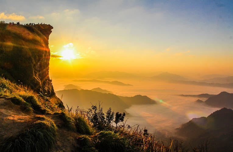 இந்தியாவின் மர வகைகளில் குறுகிய கால சுற்றளவு அதிகரிப்பு மற்றும் உயரியல் மாற்றங்கள்