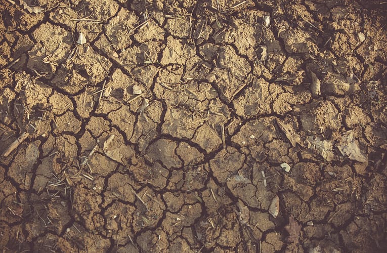 தமிழ்நாட்டில் இயற்கையான உயர் பின்னணி கதிர்வீச்சுப் பகுதியிலிருந்து அரிதான பூமி கூறுகள்