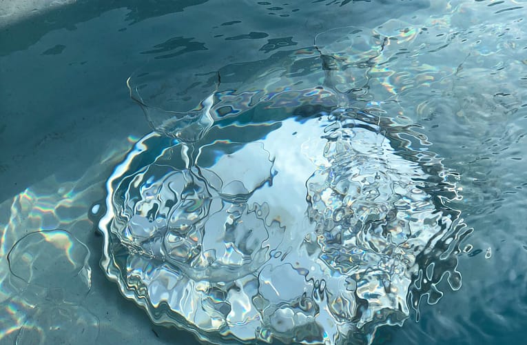 நீர் மாதிரிகளிலிருந்து உயர் ஃப்ளூரைடு எதிர்ப்பு பாக்டீரியாவை அடையாளம் காணுதல்