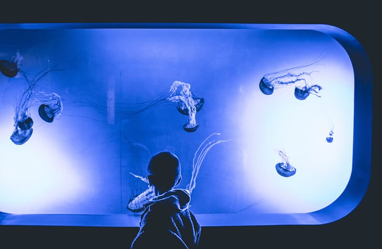 லார்ட் கெல்வின் ஐசோட்ரோபிக் ஹெலிகாய்டு யோசனைகளின் சோதனை