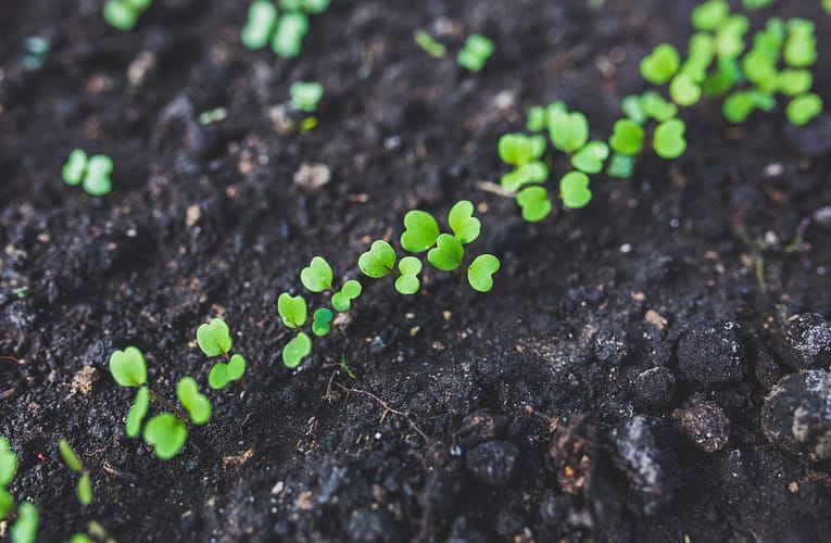 காலநிலை-நவீன விவசாயத்தைத் தழுவுவதற்கான மண் வளம் மதிப்பீடு
