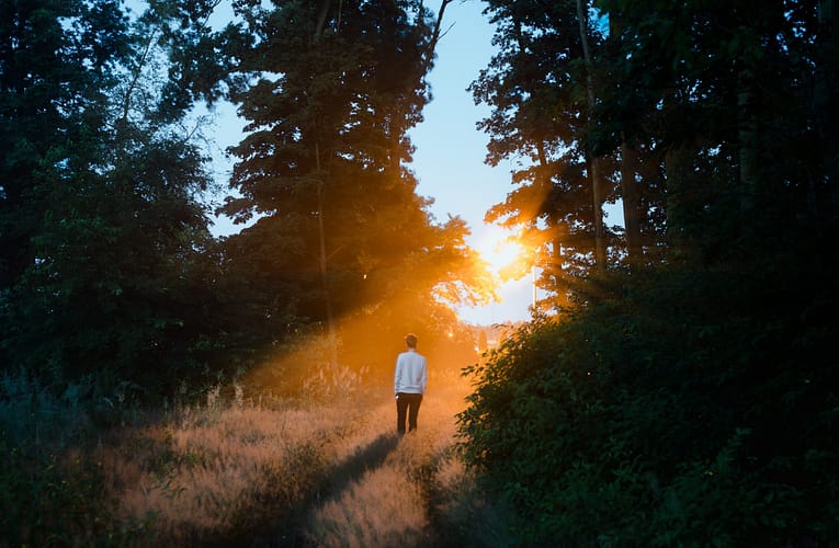 டேலியன் ஓரியல் ஒளி மூலங்களின் நீர் ஐசோடோபோலோஜின் ஒளிமின்னழுத்தத்தில் வலுவான ஐசோடோப்பு விளைவுகள்