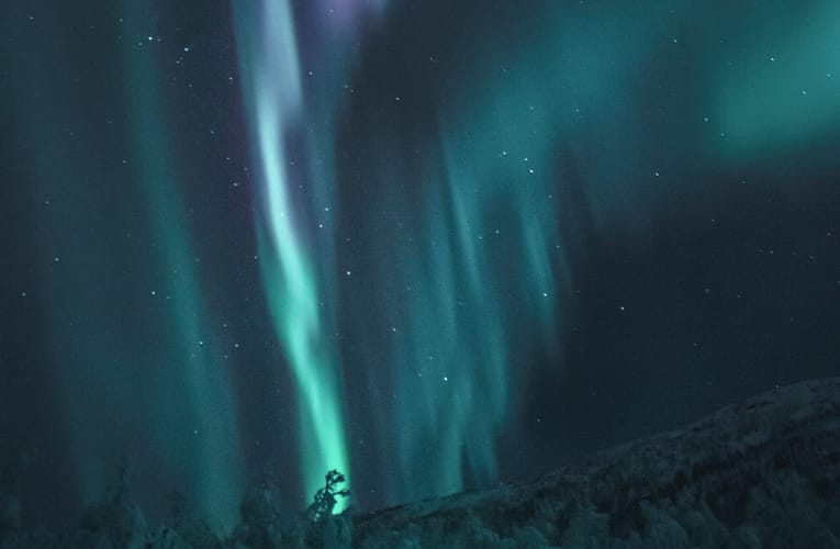 மெட்டா மேற்பரப்புகள் துருவப்படுத்தப்பட்ட ஒளியை விருப்பப்படி கட்டுப்படுத்துதல்