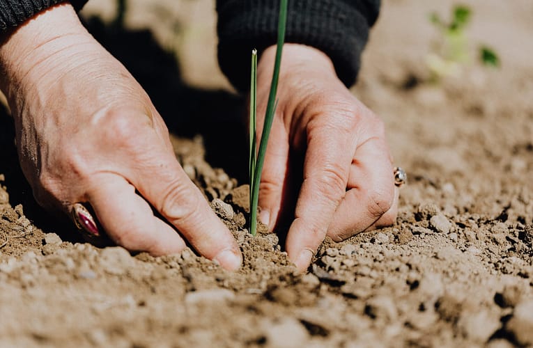 சிறு சிறு விவசாயிகளுக்கு அதிகாரம் அளிக்க மொபைல் அடிப்படையிலான தொழில்நுட்ப வளர்ச்சி