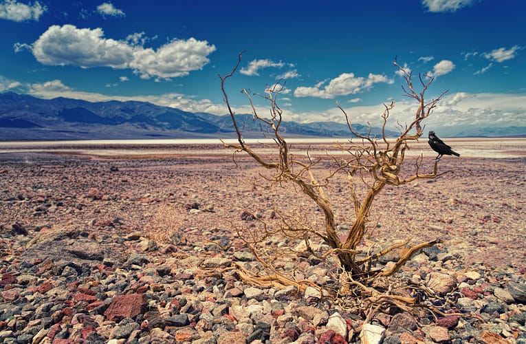 SPI-ஐப் பயன்படுத்தி வறட்சியின் தீவிரத்தை பகுத்தாய்தல்