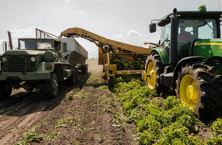 திருநெல்வேலி மாவட்டத்தில் கரிம பாதுகாக்கப்பட்ட சாகுபடி பற்றிய ஆய்வு