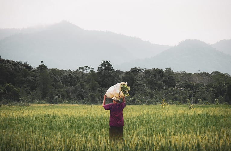 வேளாண் துறையில் மாநில விரிவாக்கச் சேவைகளைப் பயன்படுத்துவதில் தாக்கத்தை ஏற்படுத்தும் காரணிகள்