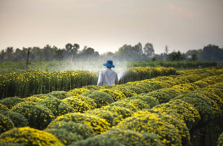 விவசாயிகளால் களைக்கொல்லிகள் வாங்குவதை பாதிக்கும் காரணிகள்