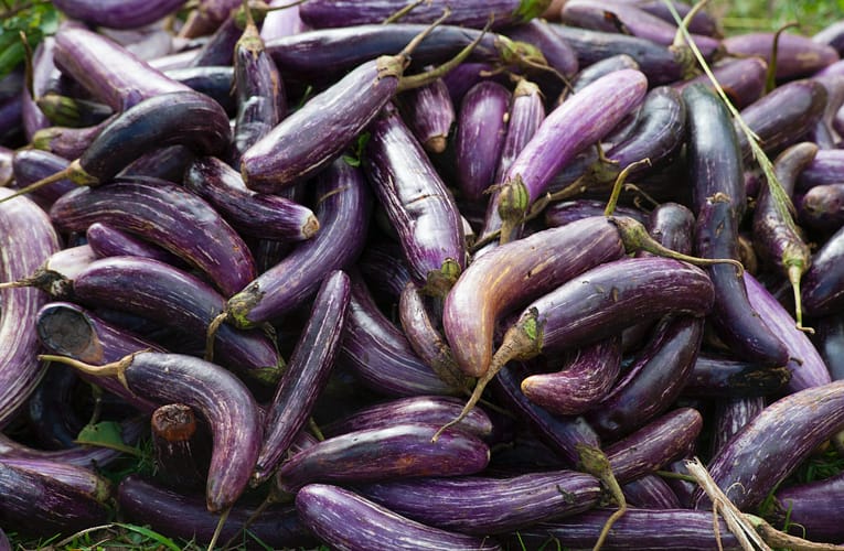 முள்ளந்தண்டு அல்லாத கத்திரி வகையின் VRM (Br)2-இன் மகசூல் செயல்திறன்