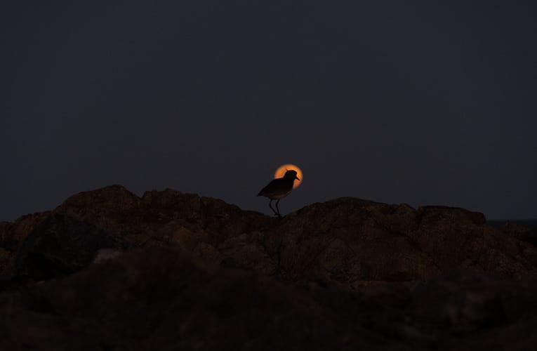 புதிய சுழல் பெருக்கி மூலம் இருண்ட பொருளுக்கான தேடலை துரிதப்படுத்துதல்