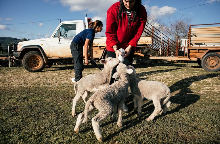 பால் உற்பத்தியில் காலநிலை மாற்றத்தின் தாக்கம் யாது?