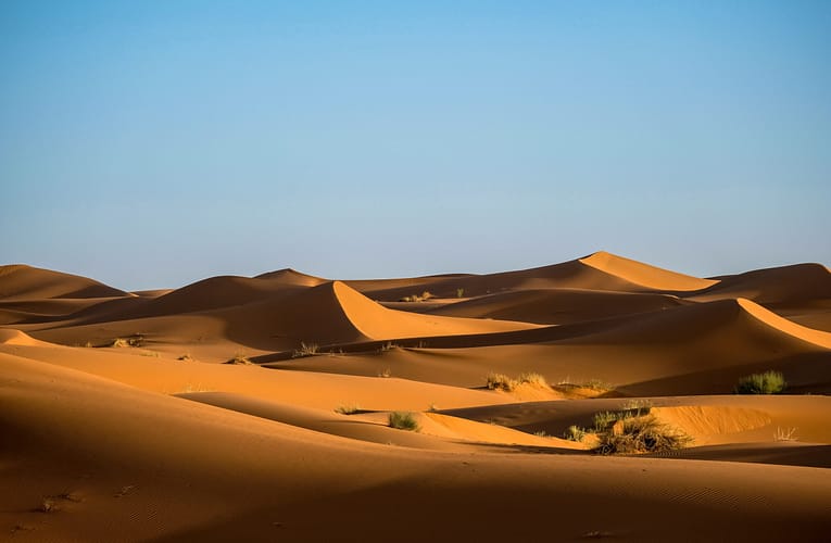 காற்று வீசும் மணலில் மறைக்கப்பட்டவை யாவை?
