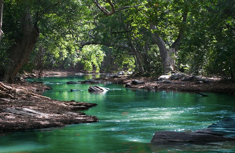 இணையத்தில் ஏரியின் பாசன நீரின் தர அளவுருக்கள்
