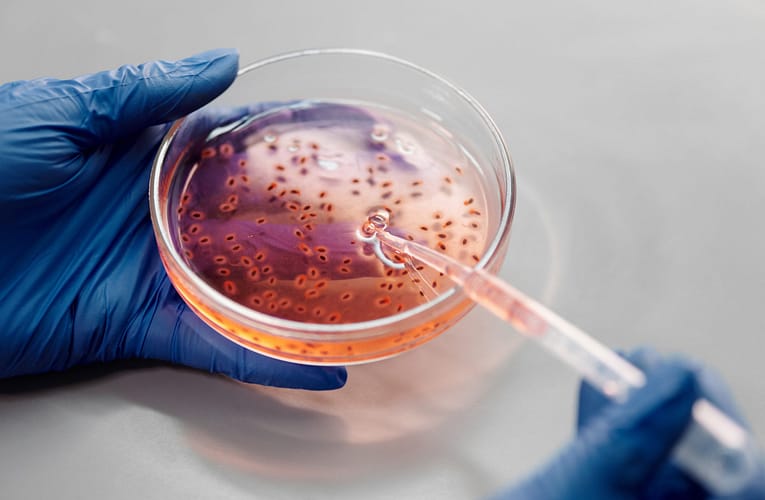 DNA கணினி இணை செயலாக்க சக்தியை அதிகரித்தல்