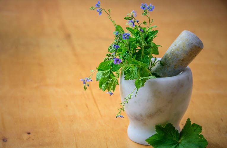 சிங்கப்பூரில் இந்திய மருந்துகள் பற்றிய ஆய்வு