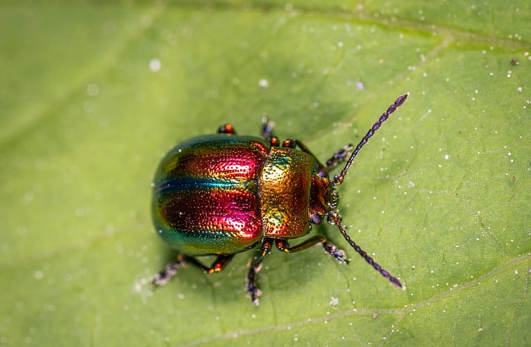 நிகழ்நேர அதிவேக ஈரப்பதத்தை உணரும் ஒளியியல் உணரி