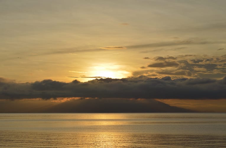 ஒளி ஆற்றலின் பரிமாற்றக் கோட்பாட்டை மறுத்தல்