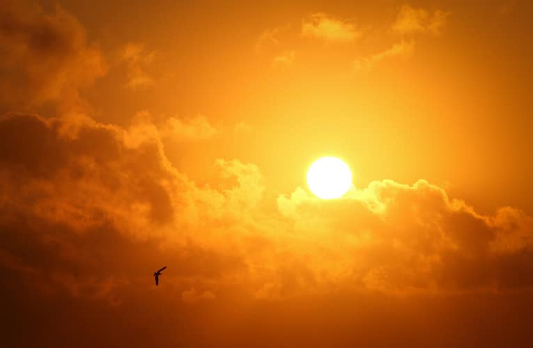 மாறக்கூடிய சுழல்-குறுக்கு பொருளுடன் வெப்பநிலை ஏற்ற இறக்கக் கட்டுப்பாடு