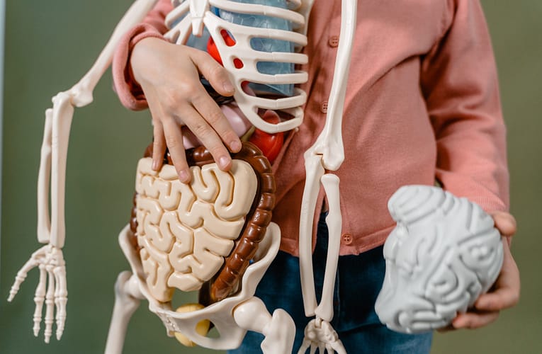 ACL காயம் (ACL injury)