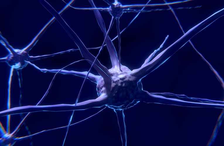 புற நரம்பு கட்டிகள் (Peripheral nerve tumors)