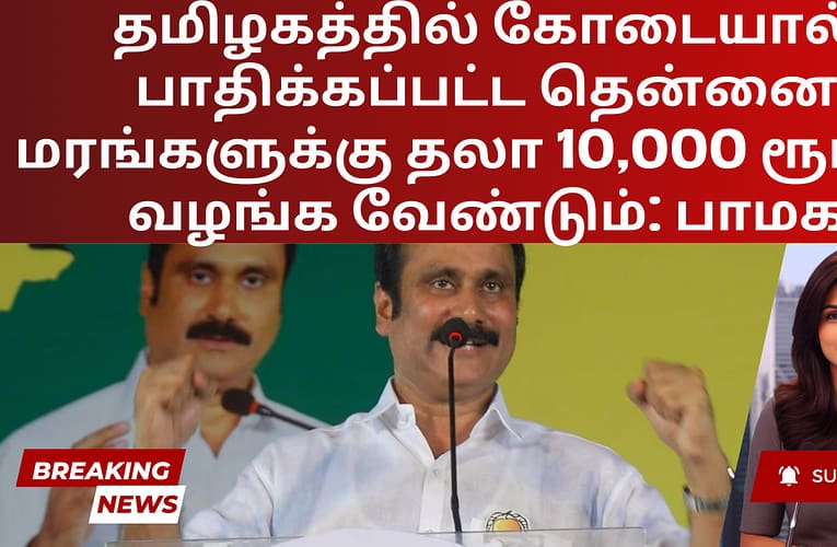 தமிழகத்தில் கோடையால் பாதிக்கப்பட்ட தென்னை மரங்களுக்கு தலா 10,000 ரூபாய் வழங்க வேண்டும்: பாமக