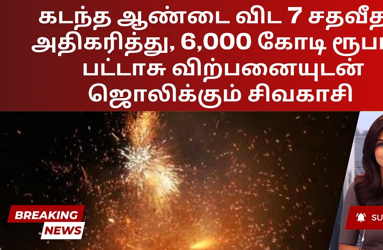 கடந்த ஆண்டை விட 7 சதவீதம் அதிகரித்து, 6,000 கோடி ரூபாய் பட்டாசு விற்பனையுடன் ஜொலிக்கும் சிவகாசி