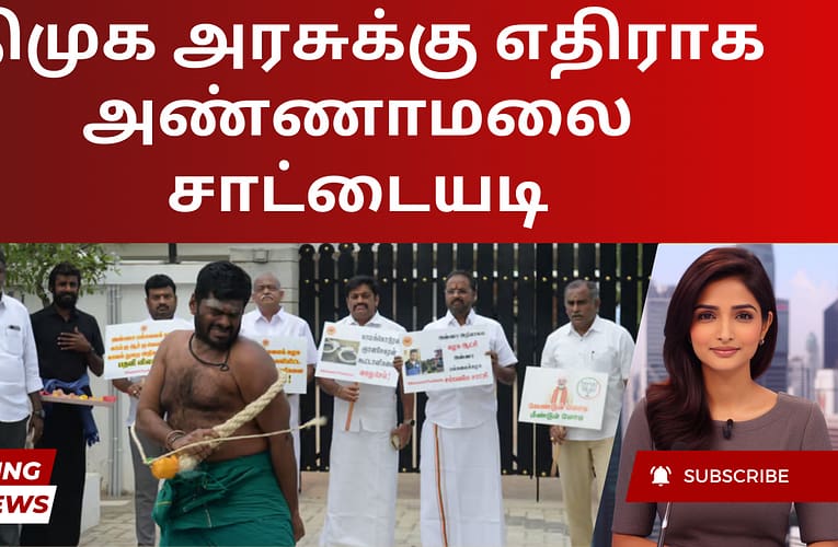 திமுக அரசுக்கு எதிராக அண்ணாமலை சாட்டையடி