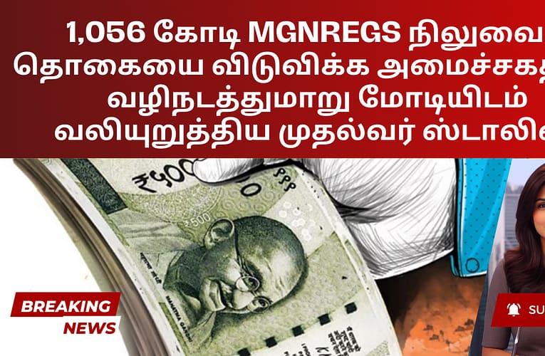 1,056 கோடி MGNREGS நிலுவைத் தொகையை விடுவிக்க அமைச்சகத்தை வழிநடத்துமாறு மோடியிடம் வலியுறுத்திய முதல்வர் ஸ்டாலின்