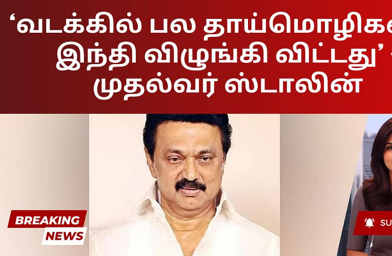 ‘வடக்கில் பல தாய்மொழிகளை இந்தி விழுங்கி விட்டது’ – முதல்வர் ஸ்டாலின்