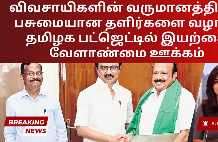 விவசாயிகளின் வருமானத்திற்கு பசுமையான தளிர்களை வழங்க தமிழக பட்ஜெட்டில் இயற்கை வேளாண்மை ஊக்கம்