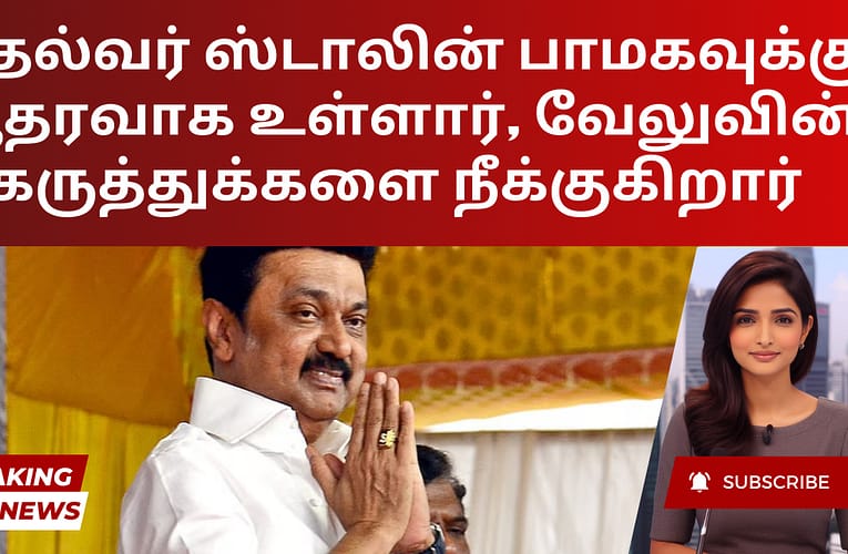 முதல்வர் ஸ்டாலின் பாமகவுக்கு ஆதரவாக உள்ளார், வேலுவின் கருத்துக்களை நீக்குகிறார்